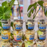 Blueglass新品上市，12款口味一网打尽！