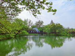 -西溪国家湿地公园