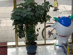 -美可普口腔医院(东街分店)