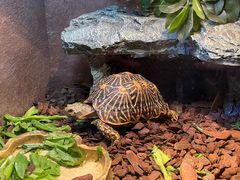 -上海海洋水族馆