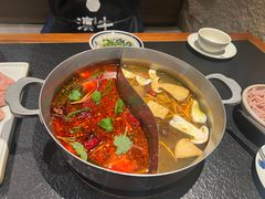 跑山鸡野菌锅拼酸辣锅底-滇牛云南火锅(桂林路店)