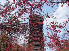 -塔子山公园