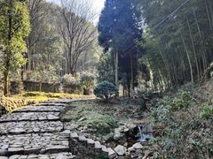 -仙霞关景区