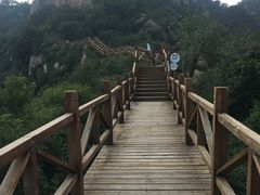 -大岭沟猕猴桃谷风景区