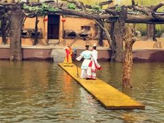 -太阳部落
