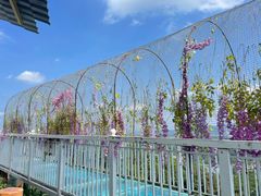 -牛鱼嘴原始生态风景区