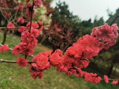 -东升八家郊野公园