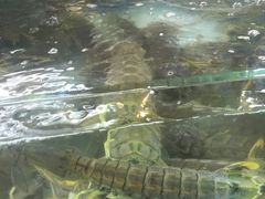 -班赞海鲜市场