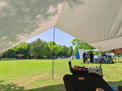 -上海滨江森林公园