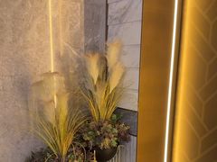 -艺水间水汇