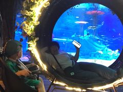 -沈阳海洋探索中心