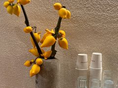 -沙丘咖啡DUNE COFFEE(深业水松大厦店)