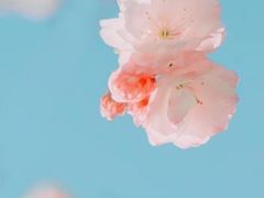 -泰康之家·申园