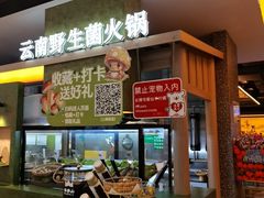 -季季山·云南野生菌火锅(上海首店)
