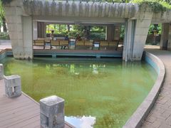 -苏州河梦清园环保主题公园