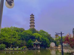 -江心屿景区