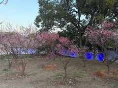 -无锡梅园公园