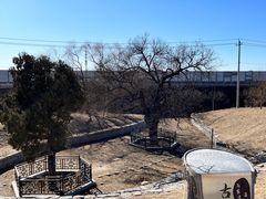 -马家湾湿地公园