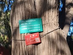-凤凰汇购物中心