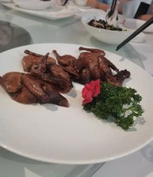 -成都大鼎世纪大酒店·宴会厅