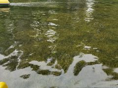 -晓港公园