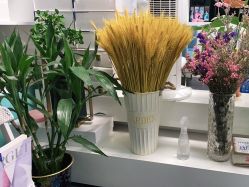 -斐尔国际皮肤管理中心