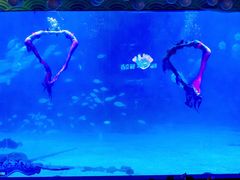 -烟台海昌鲸鲨海洋公园