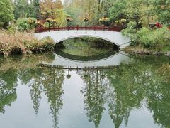 -东平国家森林公园