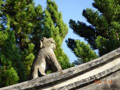 -秋霞圃