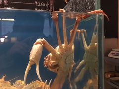 -綱元·海鲜豆捞(明州里店)