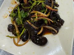 -东山羊庄(八卦岭店)