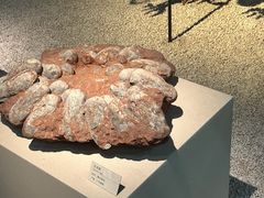 -浙江自然博物院(杭州馆)