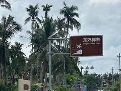 -东郊椰林