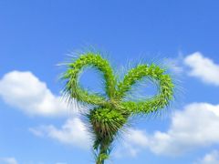 -肯德基(颛桥店)