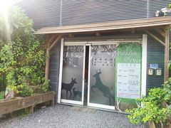 -鹿境梅花鹿生态园区