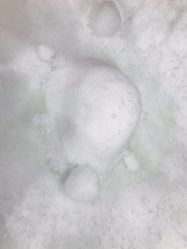 -Mr·Kuma酷么先生雪之乐园