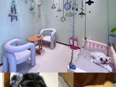 -藏猫猫咖啡主题馆(中央大道店)