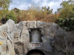 -大伊山景区