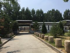 -午后庭院