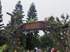 -东莞植物园