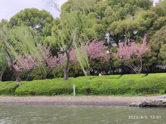-苏州古运河游船(新市桥码头)