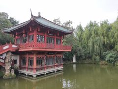 -房湖公园
