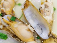 姜葱炒蛏子-红灯笼龙凤饭店(宁波老字号店)