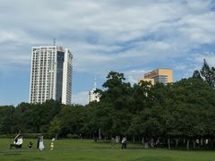-皖北三胖地锅鸡(高速时代广场店)