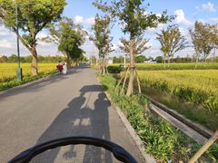 -嘉北郊野公园