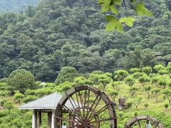 -广州市石门国家森林公园