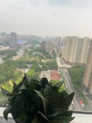 -产后帮产后修复(首城国际店)