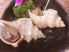 海螺-红叶日料·放题·海胆·定食(星海店)