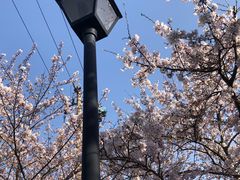 -青岛中山公园-索道售票处