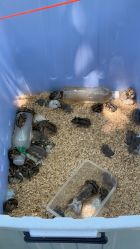 -萌宠亲子动物乐园(槐房万达店)